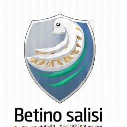 Betino-salisi Logo